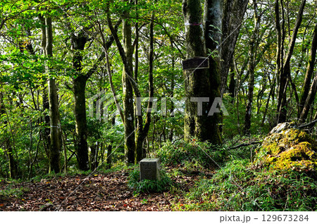 御坂山地　精進山（湖西山）山頂にある三角点 129673284