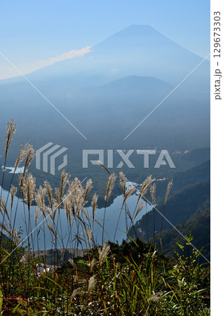 御坂山地の精進峠展望台からの富士山と精進湖にススキ 御坂山地の精進峠展望台からの富士山と精進湖にススキ 129673303