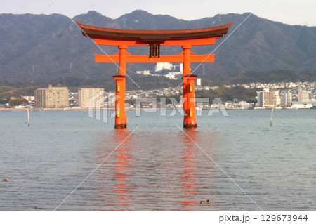 安芸の宮島 129673944