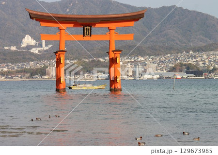 安芸の宮島 129673985