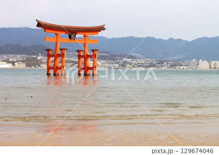 安芸の宮島 129674046