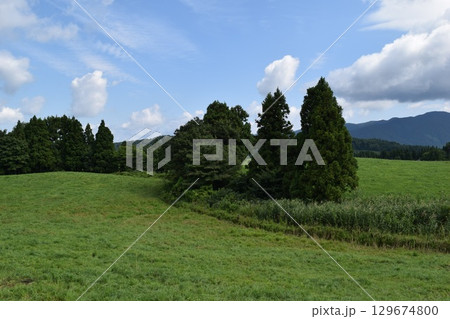 月山高原牧場 最高の眺め 山形県 月山高原牧場 最高の眺め 山形県 129674800
