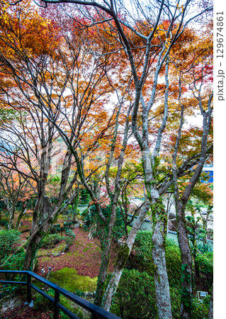 迎仙閣の紅葉　【長崎市】 129674861