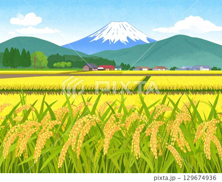 黄金色に実った稲穂　イラスト 129674936