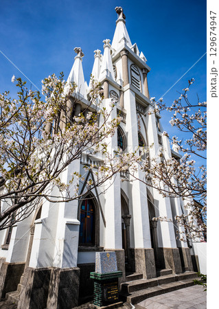 馬込教会の桜【長崎市】 129674947