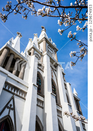 馬込教会の桜【長崎市】 馬込教会の桜【長崎市】 129674953