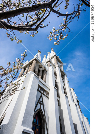 馬込教会の桜【長崎市】 129674954