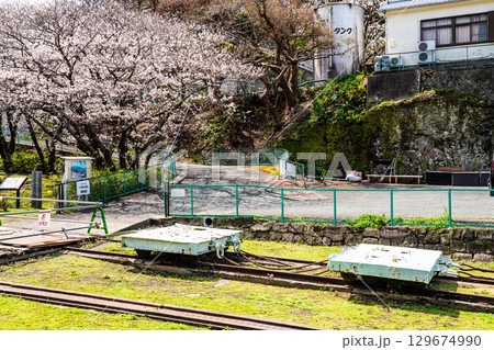小菅修船場跡の桜　世界文化遺産　【長崎県長崎市】 129674990