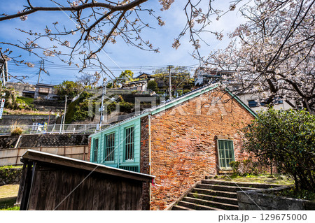 小菅修船場跡の桜 世界文化遺産 【長崎県長崎市】 小菅修船場跡の桜 世界文化遺産 【長崎県長崎市】 129675000