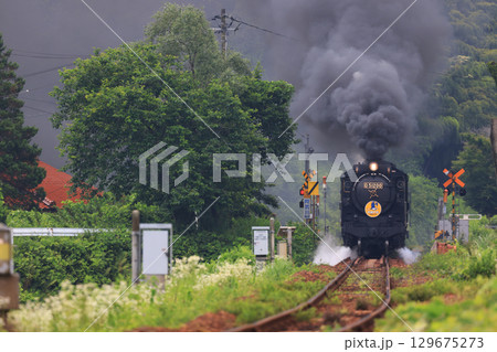 SLやまぐち号 D51 9586 SLやまぐち号 D51 9586 129675273