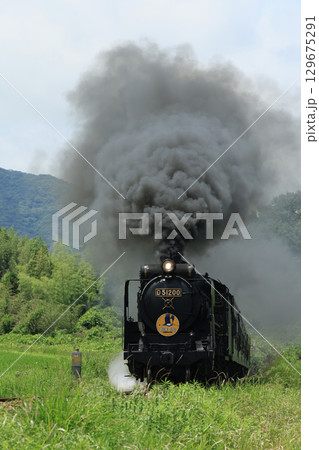 SLやまぐち号　D51  1559 129675291