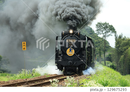 SLやまぐち号　D51  1646 129675293