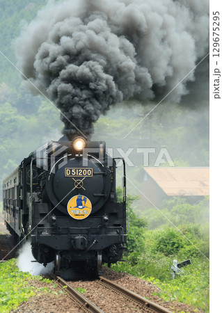 SLやまぐち号 D51 1727- SLやまぐち号 D51 1727- 129675295