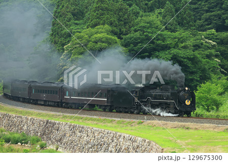 SLやまぐち号 D51 2296- SLやまぐち号 D51 2296- 129675300