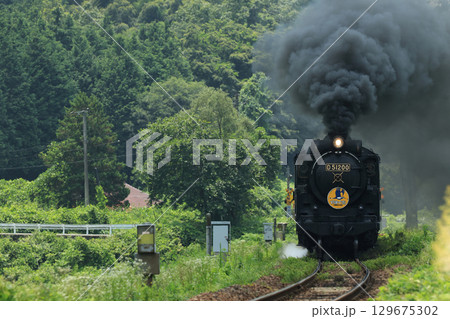 SLやまぐち号 D51 2619 SLやまぐち号 D51 2619 129675302