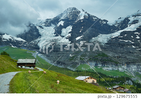 スイス　アルプスの麓で放牧に使われるアルプ小屋 129675555