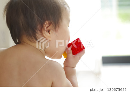 知育玩具に夢中になる乳幼児 129675623
