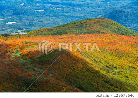 栗駒山の紅葉（神の絨毯） 129675646