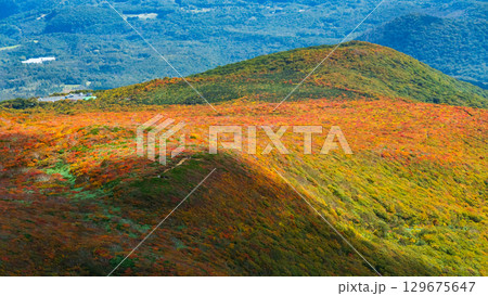 栗駒山の紅葉（神の絨毯） 129675647