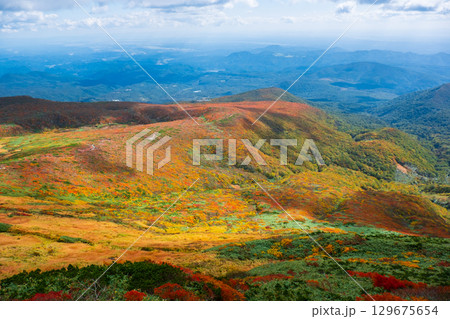 栗駒山の紅葉（神の絨毯） 129675654