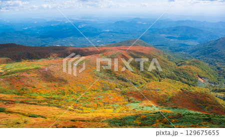 栗駒山の紅葉（神の絨毯） 129675655