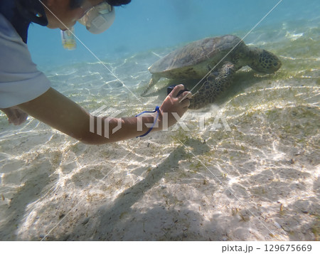 ウミガメと泳ぐ男の子 ウミガメと泳ぐ男の子 129675669
