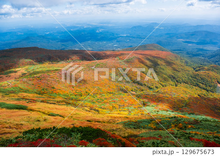 栗駒山の紅葉（神の絨毯） 129675673
