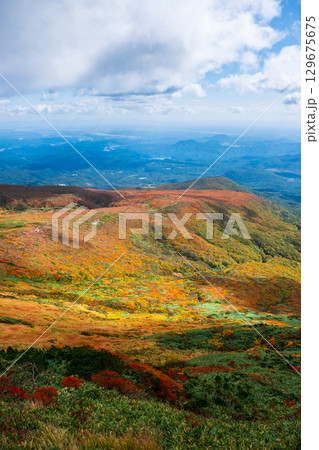 栗駒山の紅葉（神の絨毯） 129675675