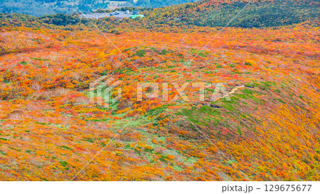 栗駒山の紅葉（神の絨毯） 129675677