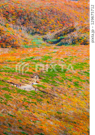 栗駒山の紅葉（神の絨毯） 129675712