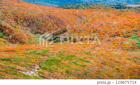 栗駒山の紅葉(神の絨毯) 栗駒山の紅葉(神の絨毯) 129675714