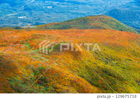 栗駒山の紅葉（神の絨毯） 129675718