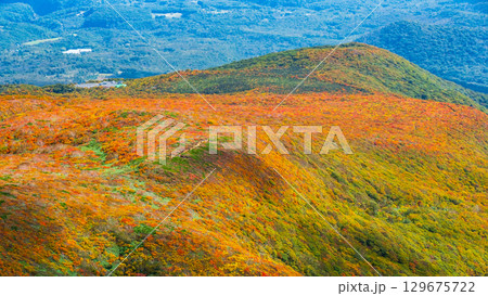 栗駒山の紅葉（神の絨毯） 129675722