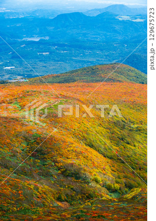 栗駒山の紅葉（神の絨毯） 129675723