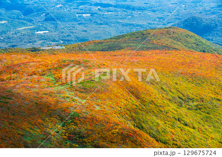 栗駒山の紅葉（神の絨毯） 129675724