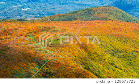 栗駒山の紅葉（神の絨毯） 129675725