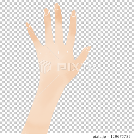 Watercolor style simple open hand illustration material 129675785