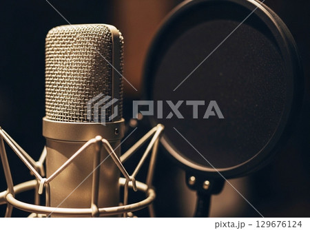 Professional Studio Condenser Microphone with Pop Filter 129676124