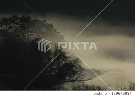 霧に包まれた湖畔の森 129676954