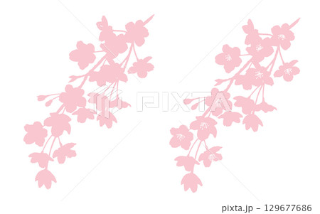 しだれ桜のシルエットイラスト 129677686