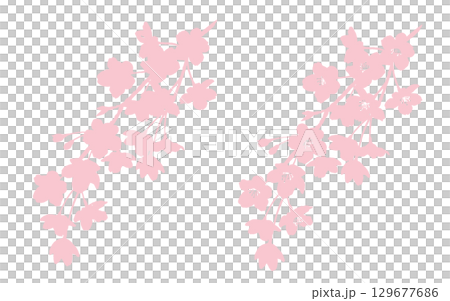 しだれ桜のシルエットイラスト 129677686