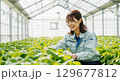 笑顔で働く農業従事者の女性 129677812
