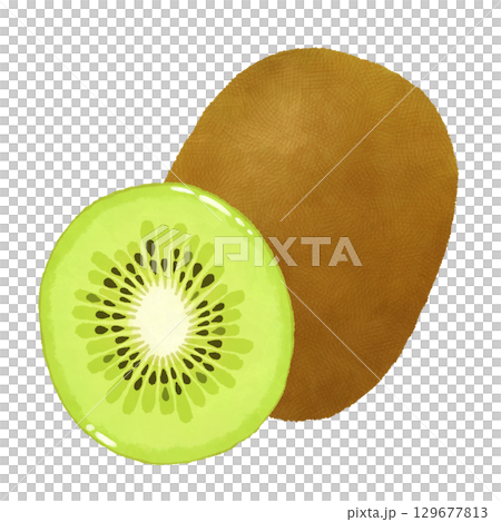 Kiwi fruit illustration Kiwi fruit illustration 129677813