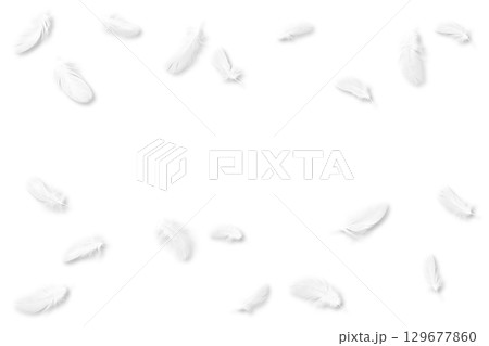 白い鳥の羽、影付きキリヌキ素材19点 129677860