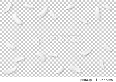 白い鳥の羽、影付きキリヌキ素材19点 129677860