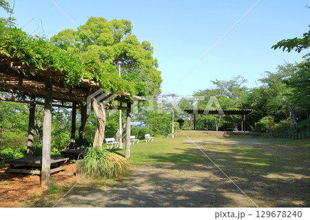 神奈川県・横須賀市・衣笠山公園 神奈川県・横須賀市・衣笠山公園 129678240
