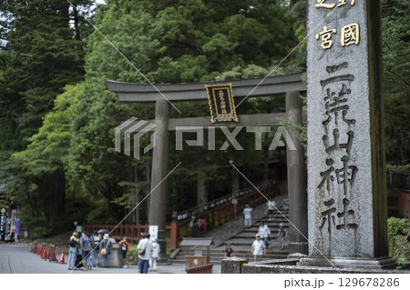 夏の日光　二荒山神社 129678286
