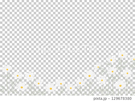 Watercolor-style white cosmos frame (horizontal) 129678380
