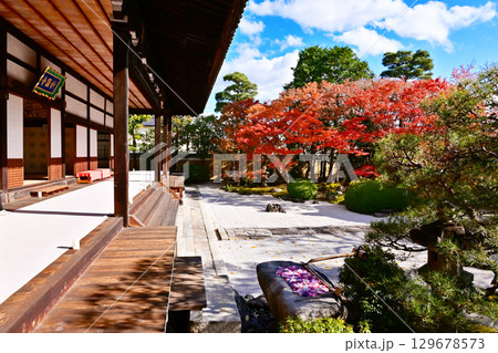 京都妙顕寺 京都の紅葉の名所 紅葉と日本庭園 京都観光スポット 四海唱導の庭とモミジ 京都妙顕寺 京都の紅葉の名所 紅葉と日本庭園 京都観光スポット 四海唱導の庭とモミジ 129678573