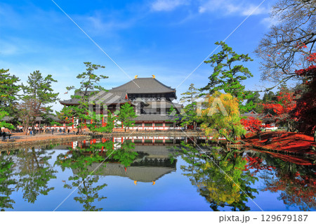 【奈良県】シンメトリーな東大寺と紅葉（大仏殿と中門） 129679187